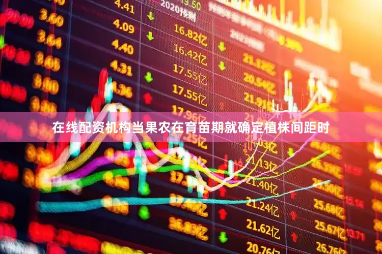 在线配资机构当果农在育苗期就确定植株间距时
