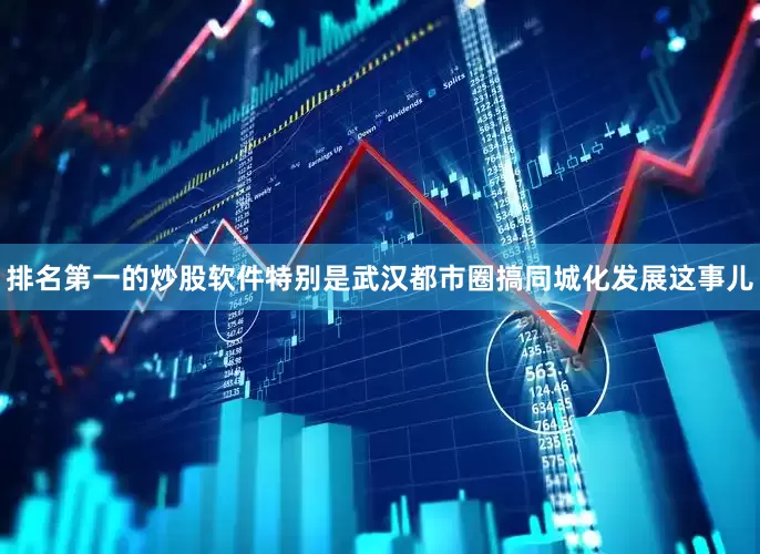 排名第一的炒股软件特别是武汉都市圈搞同城化发展这事儿
